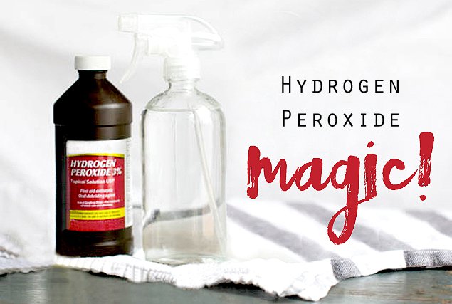 use hydro peroxide to clean away mold